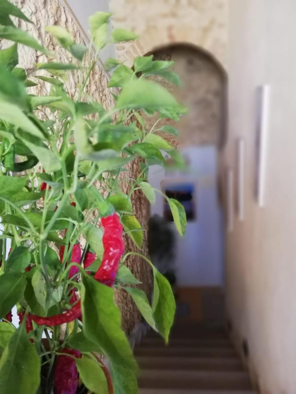 טרופאה A Casa Di Alessandro מראה חיצוני תמונה